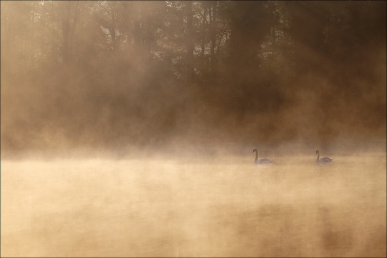 Lac dans la brume.jpg