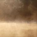 Lac dans la brume