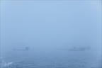 Brouillard matin 17-12-23 02