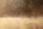 Lac dans la brume