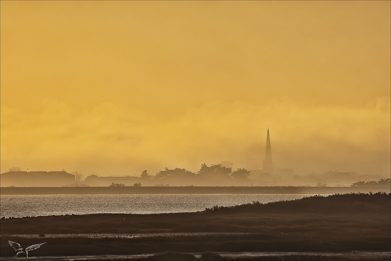 Brouillard Fier d'Ars_16-12-23_01-contraste.jpg