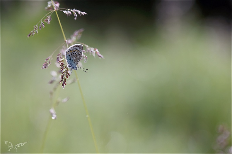 Argus _04-05-24_10.jpg