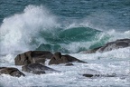 Ile Grande  15-03-26 01