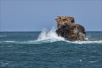 Ile Grande  "le Corbeau"